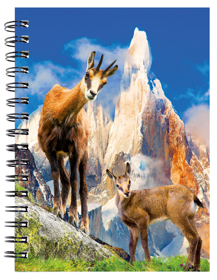 Carnet 3D Chamois 12pcs